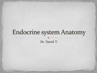 10. endocrine system.pdf